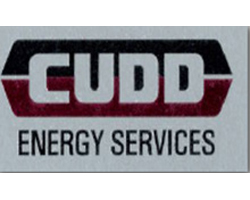 CUDD Energy Services